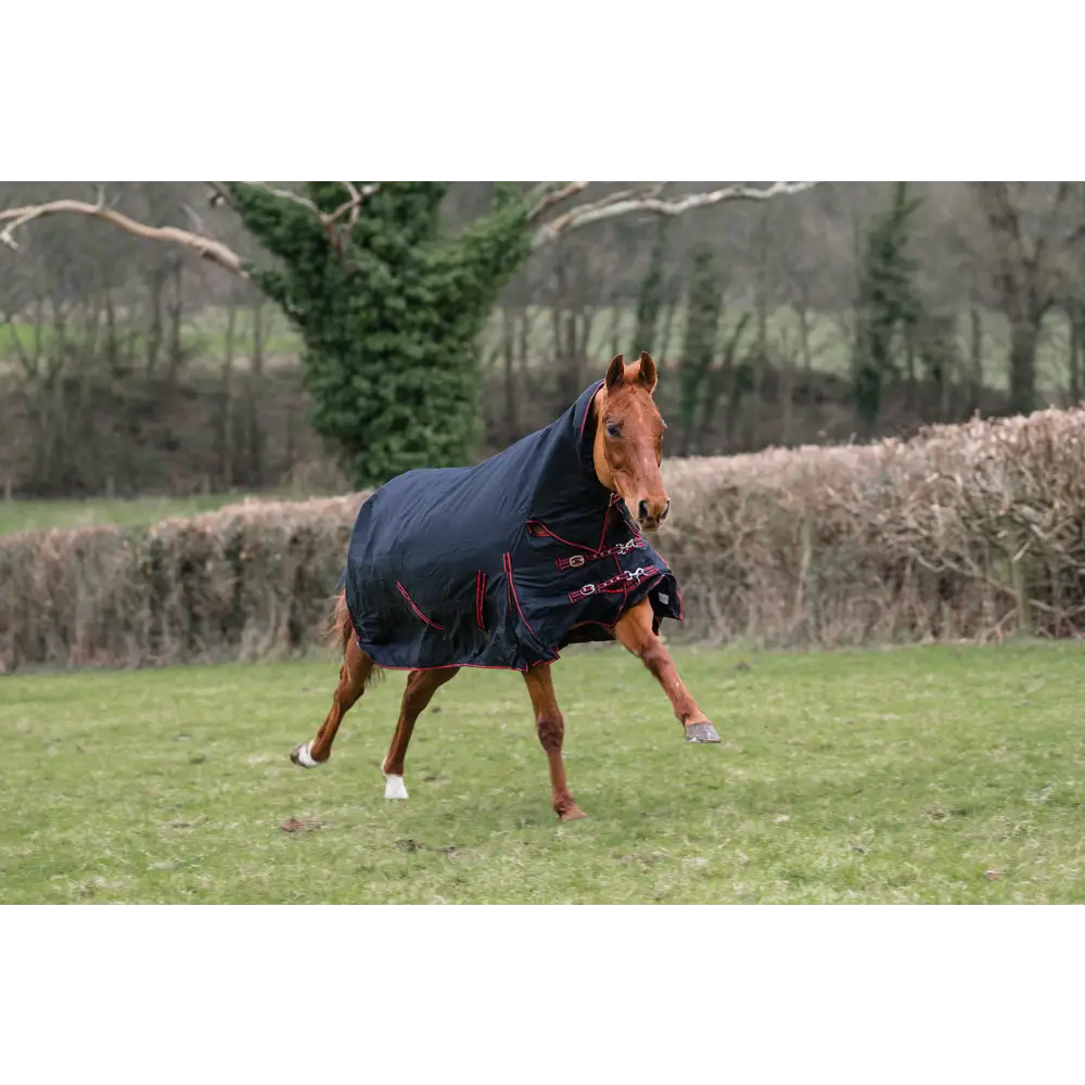 Heavy Weight Combo Turnout Rugs Rhinegold Aspen 350g Black / Red 4'6" Turnout Rugs