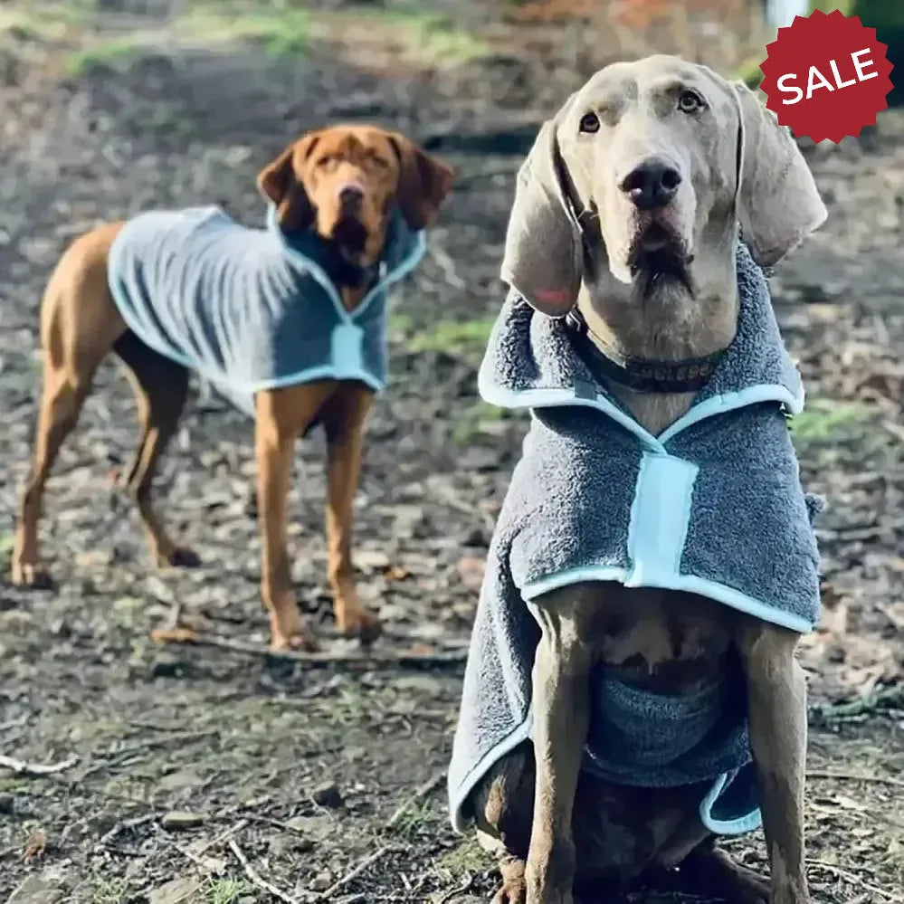 Henry Wag Drying Coat X Smallmall (35 cm) Grey/Blue Dog Coat