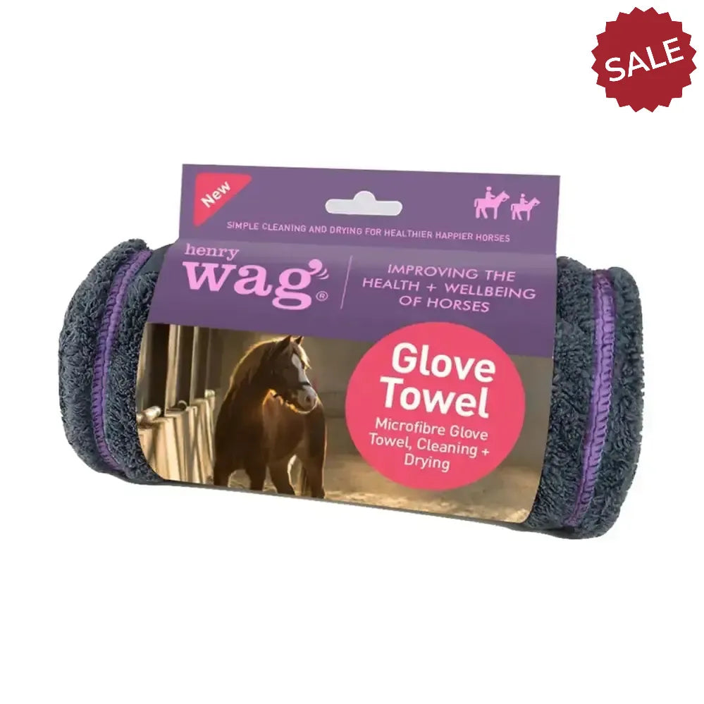 Henry Wag Equine Microfibre Glove Towel Grooming Equipment