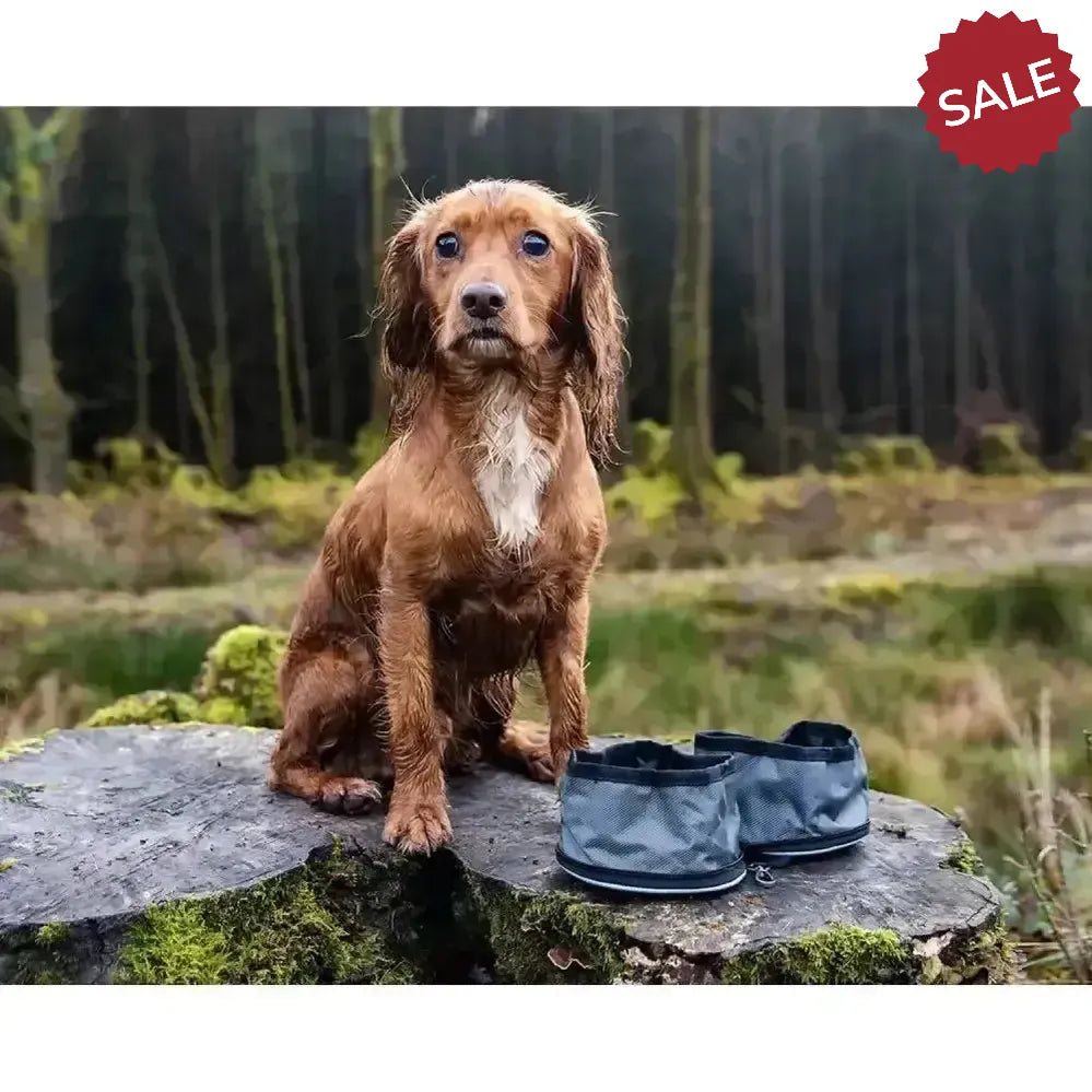 Henry Wag Snaffle Pack Bowl Set Dog Bowl