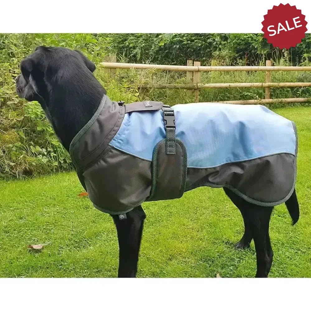 Henry Wag Waterproof Dog Coat X Smallmall (35 cm) Blue/Grey Dog Coat