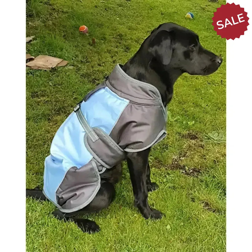 Henry Wag Waterproof Dog Coat X Smallmall (35 cm) Blue/Grey Dog Coat