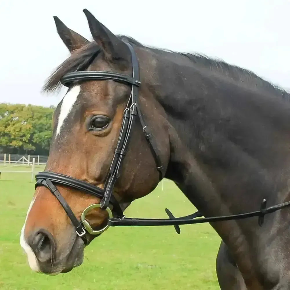 Heritage English Leather Bridle With Flash Noseband Black Cob Bridles