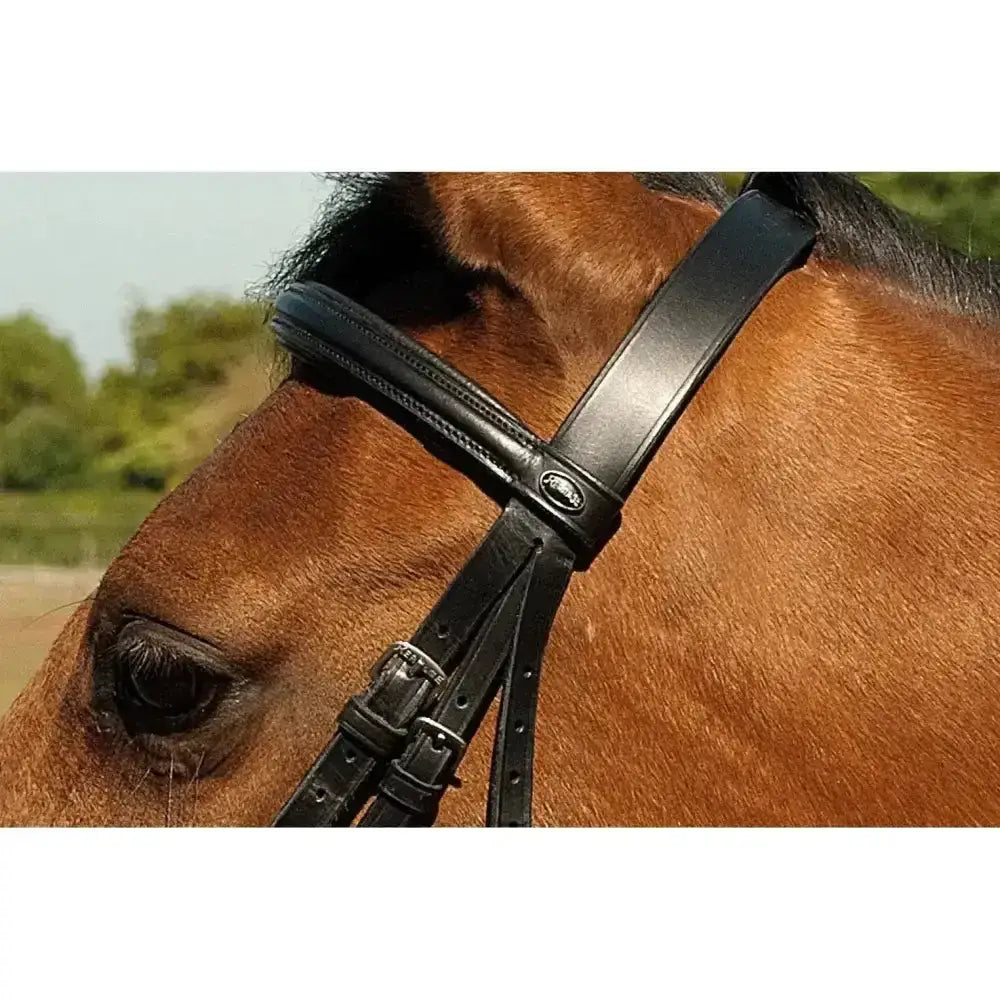 Heritage english leather bridle in black with raised cavesson noseband and silver buckle for stylish riding