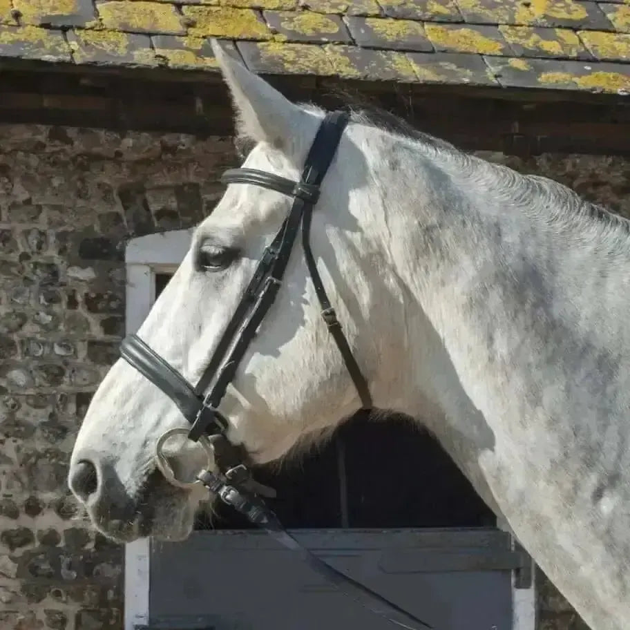 Heritage English Leather Comfort Bridle With Cavesson Noseband Black Cob Bridles