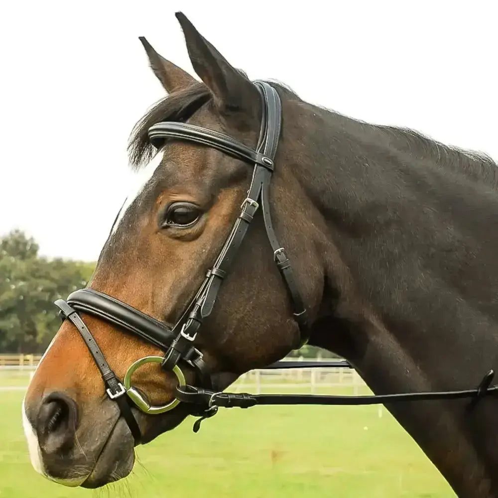 Heritage english leather comfort design headpiece black leather bridle with silver hardware and flash noseband