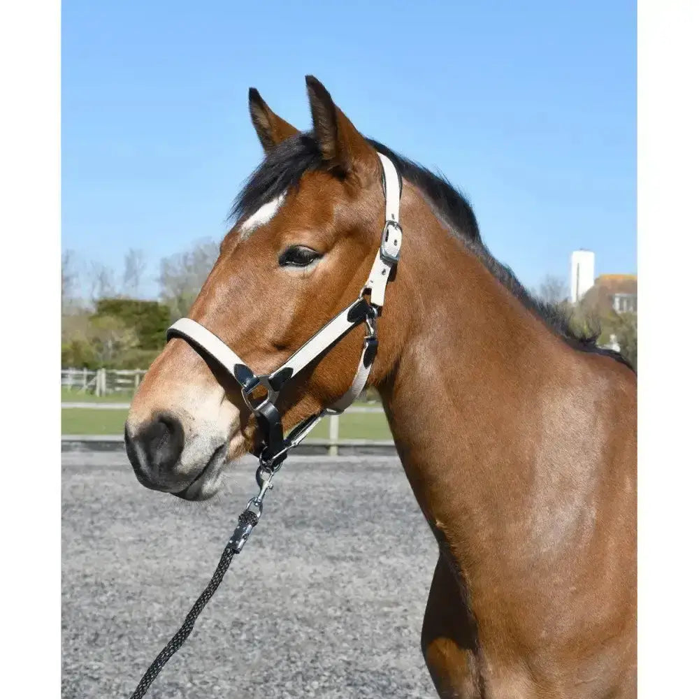 Heritage padded leather white leather lined headcollar with black metal hardware and fully adjustable noseband with lead rope