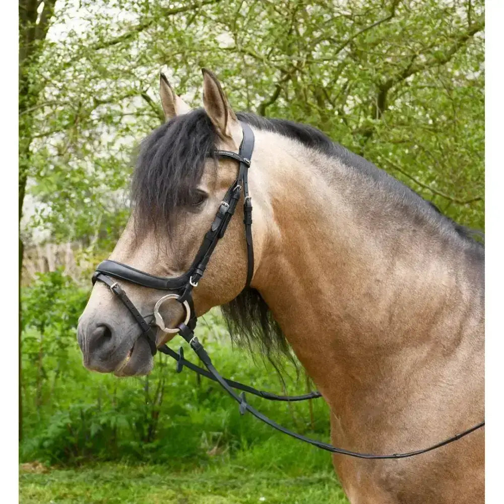 Black leather heritage saddlery anatomical flash bridle with silver metal hardware from heritage anatomical range