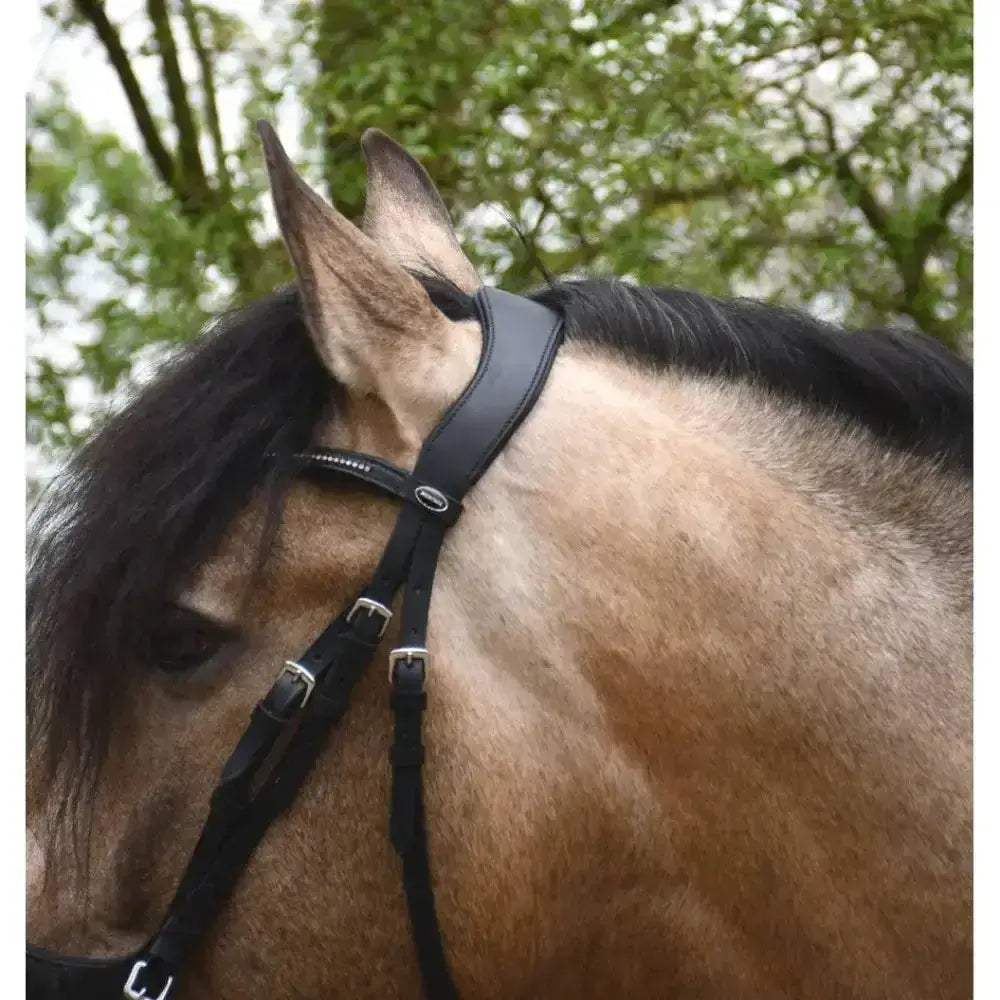 Black leather heritage saddlery anatomical flash bridle with silver buckles and small oval logo on headpiece