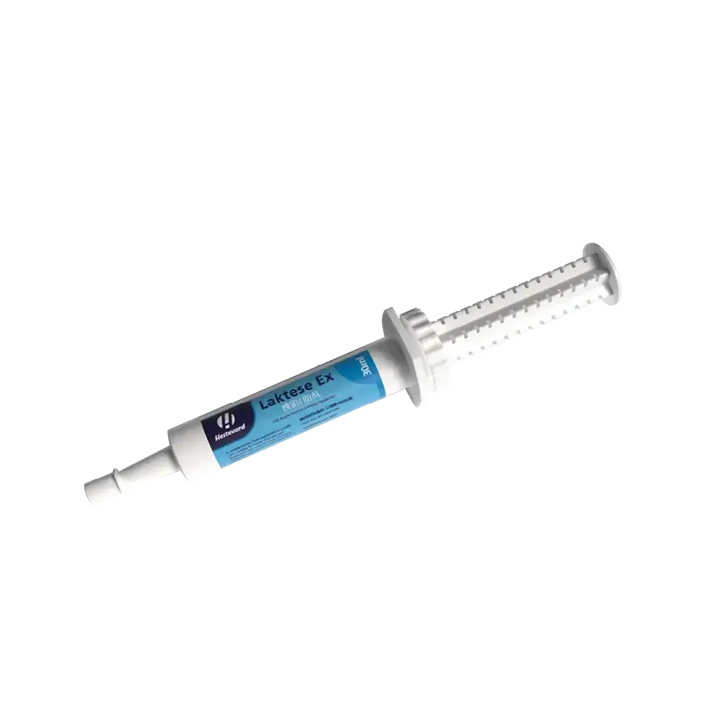 Hestevard Laktese Ex 30ml Syringe Horse Supplements