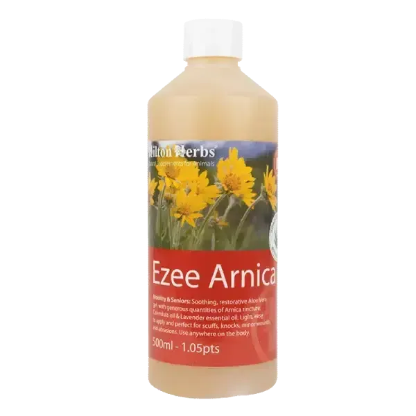 Hilton Herbs Ezee Arnica Gel 500 ml Muscle Lotion