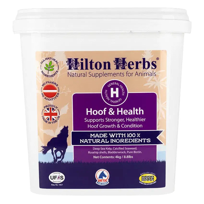 Hilton herbs hoof and health supplement in a white plastic tub with purple beige label for healthy hoof growth