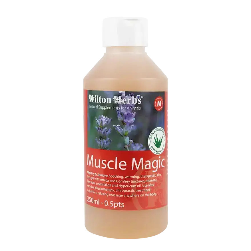 Hilton Herbs Muscle Magic 500 ml Liniment