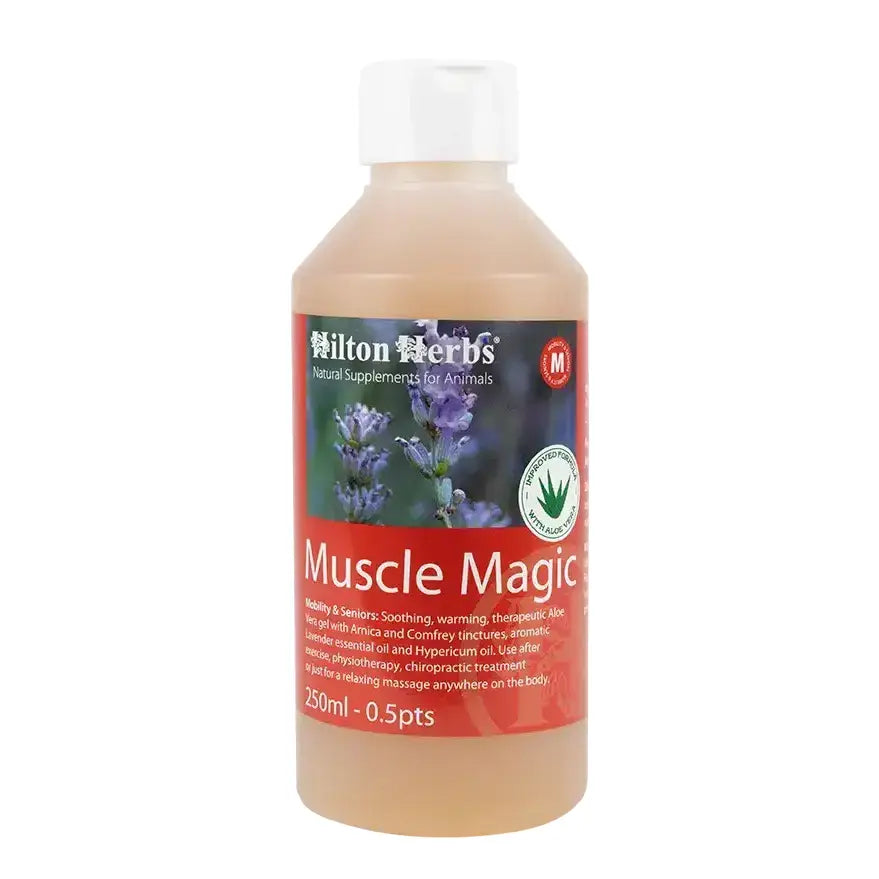 Hilton herbs muscle magic 250ml universal muscle rub gel with lavender and hypericum oils for soothing animals