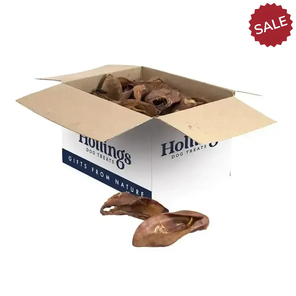 Hollings Pig Ears 5 X 10 Pack Dog Treats