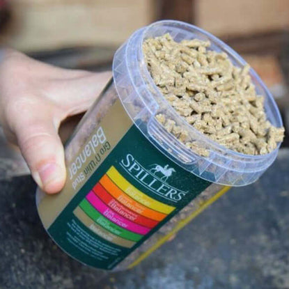 Horse Feed in North Devon