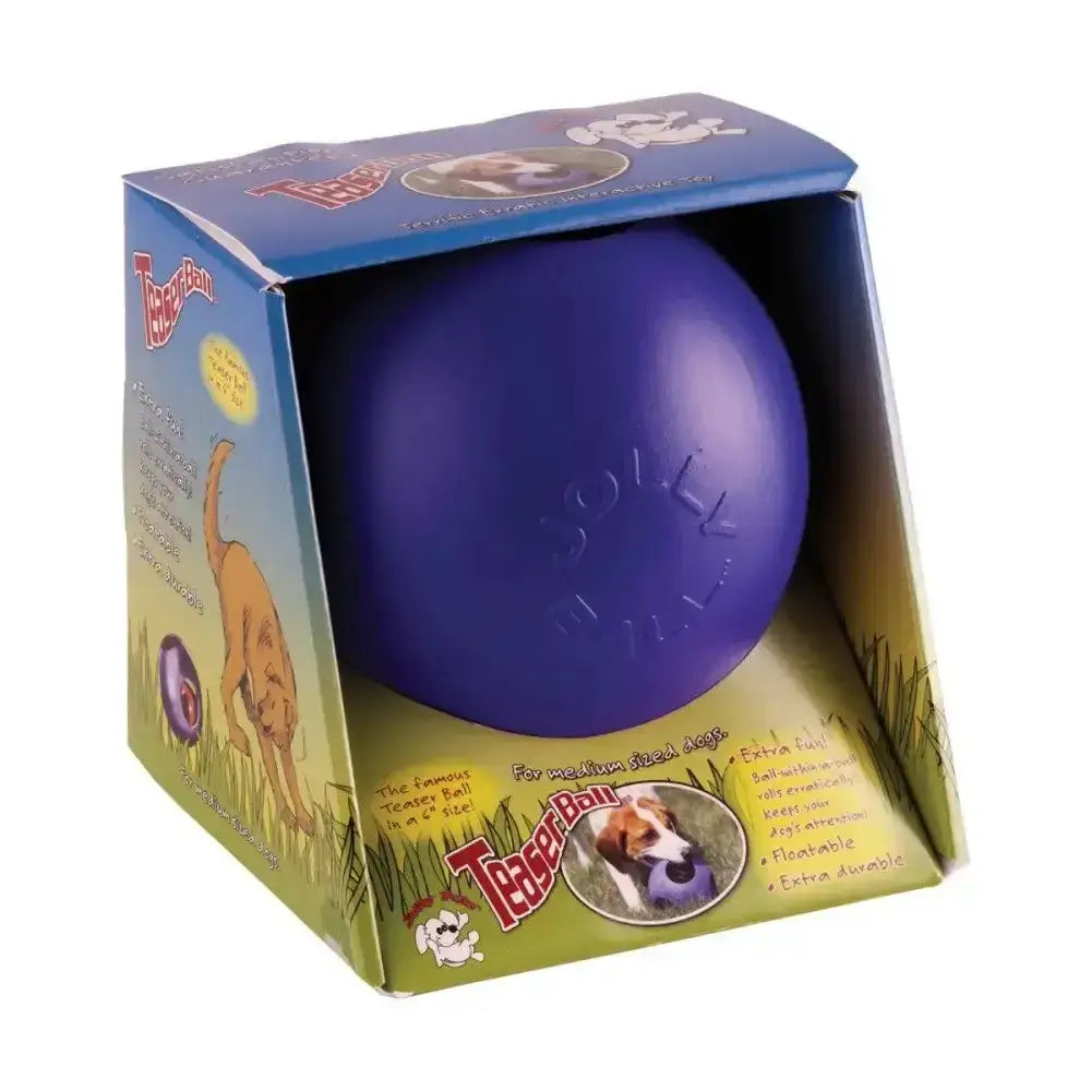 Purple pride jolly ball teaser dog toy in retail packaging by horsemen’s pride for playful fetch sessions
