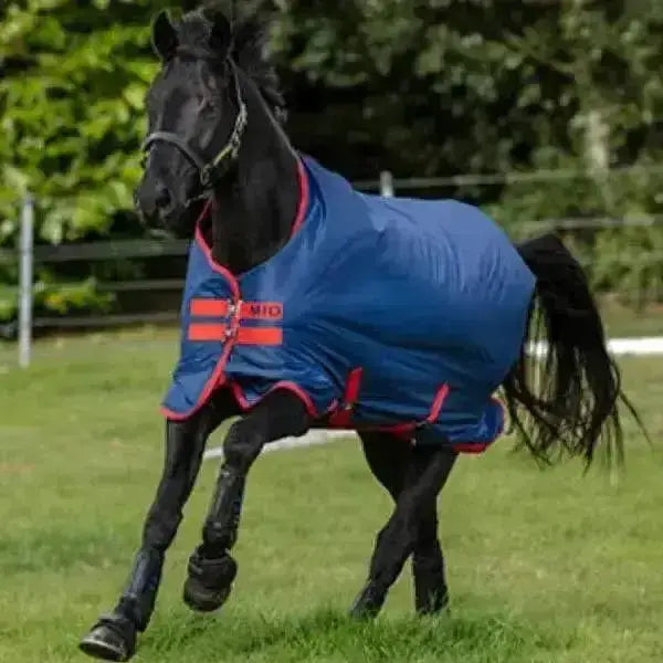 Black horse wearing blue horseware mio turnout rugs 0g light blanket with red trim and visible brand logo