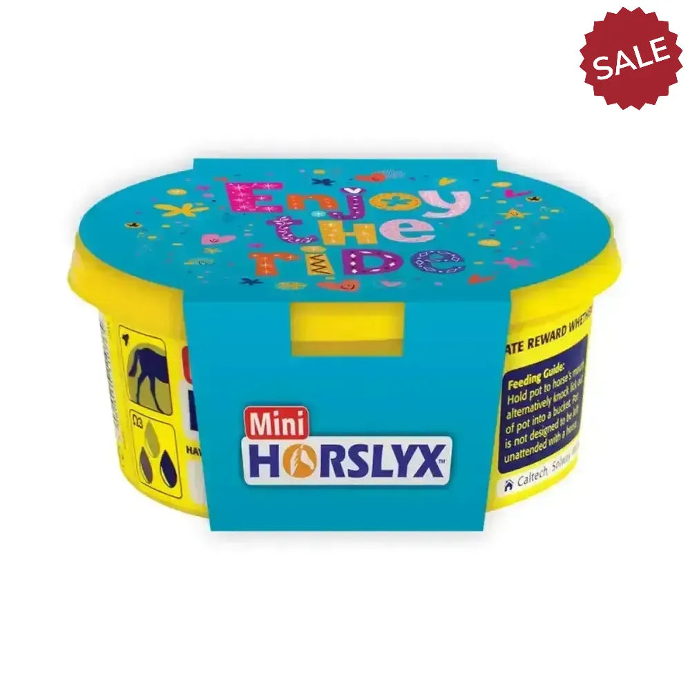 Horslyx Mini Gift Sleeve Enjoy The Ride Horse Licks