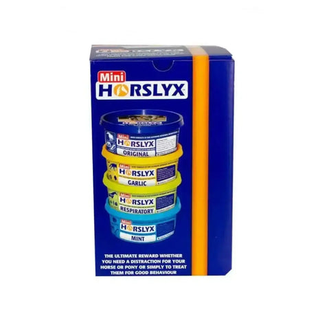 Horslyx Mini Mixed Set Of 4 Horse Licks