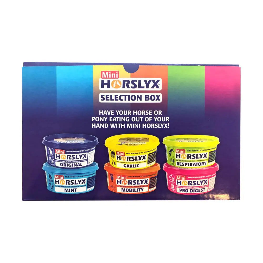Horslyx mini selection box with six colorful labeled tubs including pro digest horse licks for easy supplement feeding