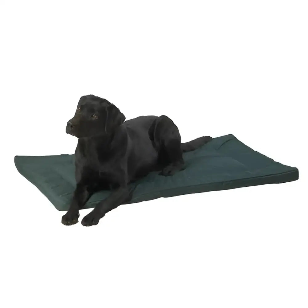 Dark green rectangular dog bed with plush cushioned surface house of paws water resistant crate mat