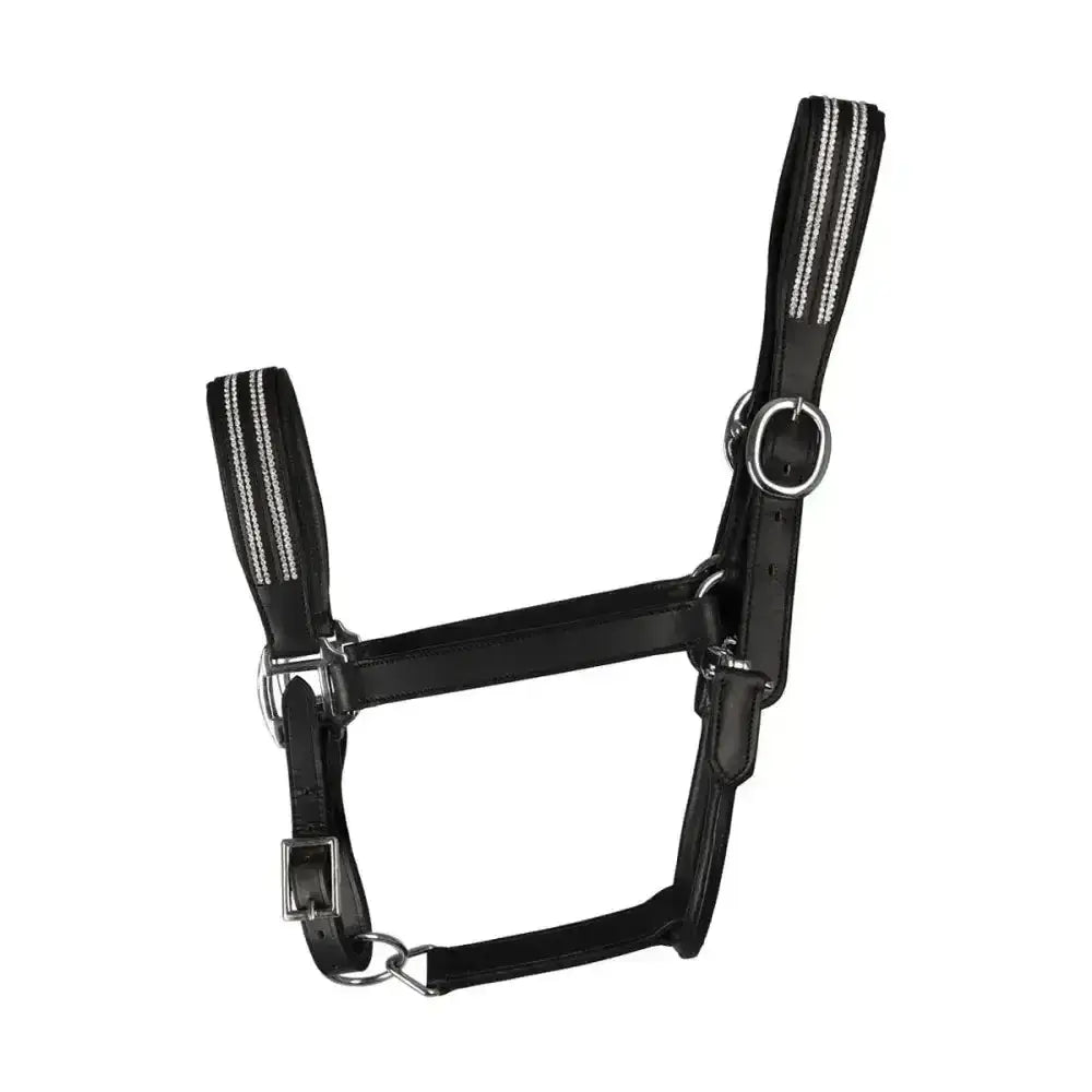 Black leather head collar with silver reflective stripes and polished hardware in equestrian anodize leather design