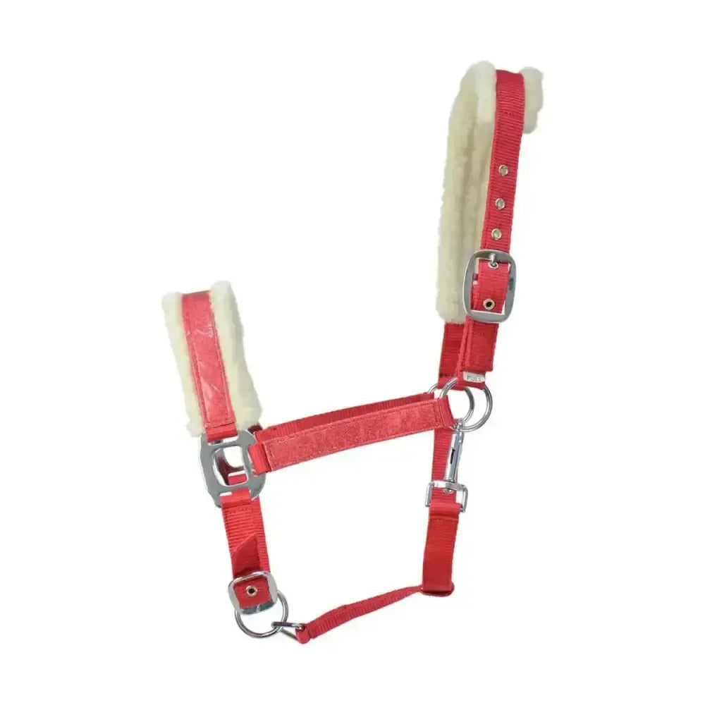 Hy Equestrian Christmas Santa Head Collar Pony Headcollars