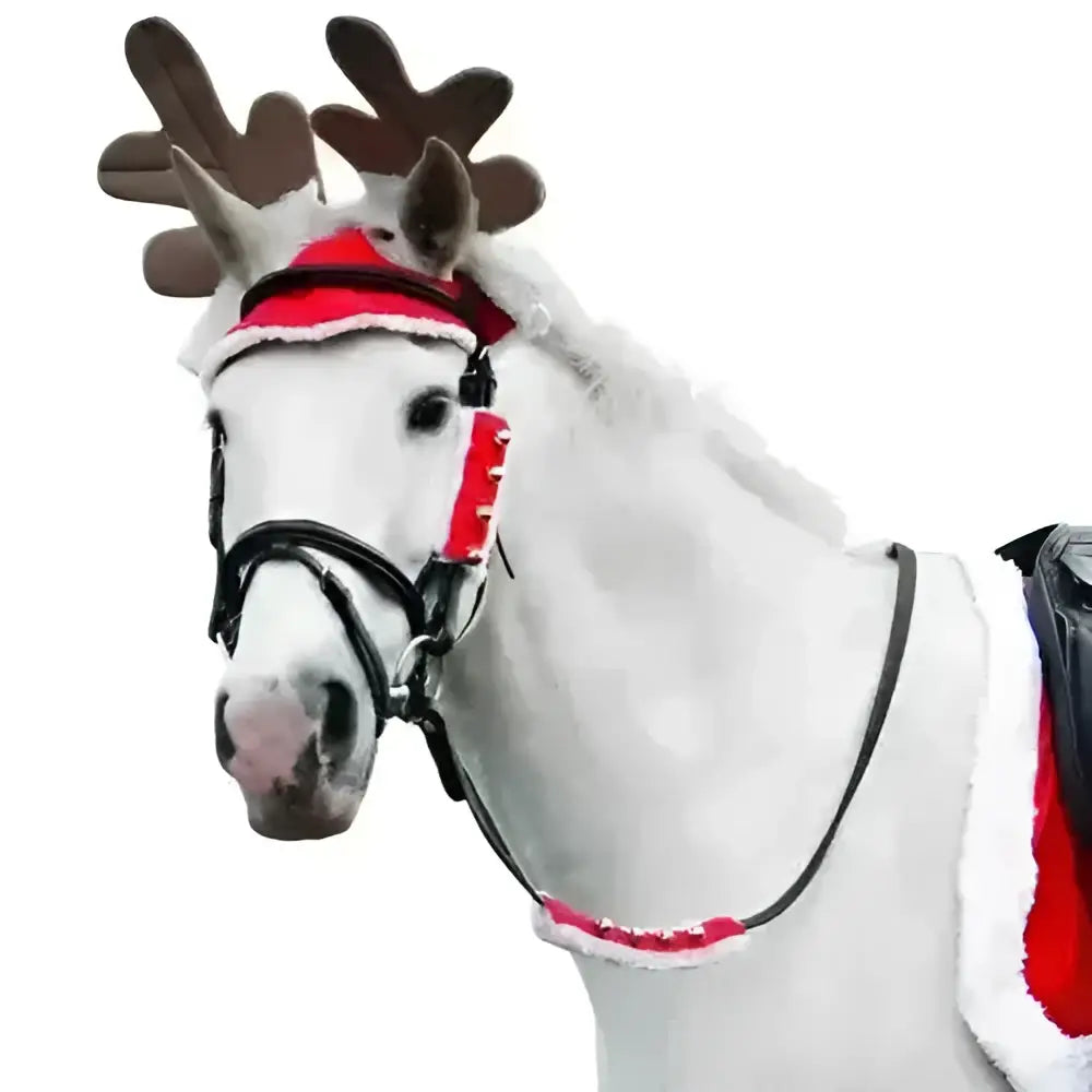 White horse wearing black bridle and festive jingling santa red and white hy equestrian christmas santa rein sleeves