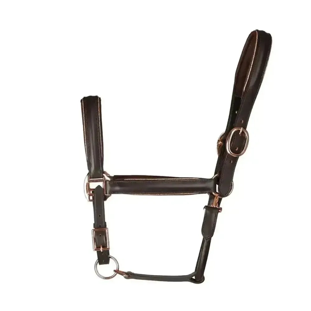 Hy Equestrian Chromatic Leather Head Collar Brown Pony Leather Headcollars