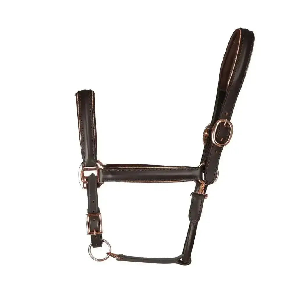 Brown leather head collar with brass hardware and buckle adjustment in hy equestrian chromatic leather style