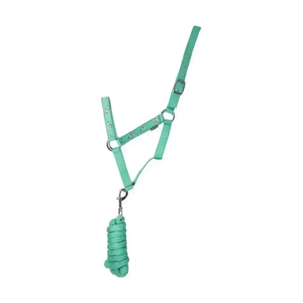 A mint green leather adjustable head collar and matching coiled lead rope from hy equestrian competition ready set