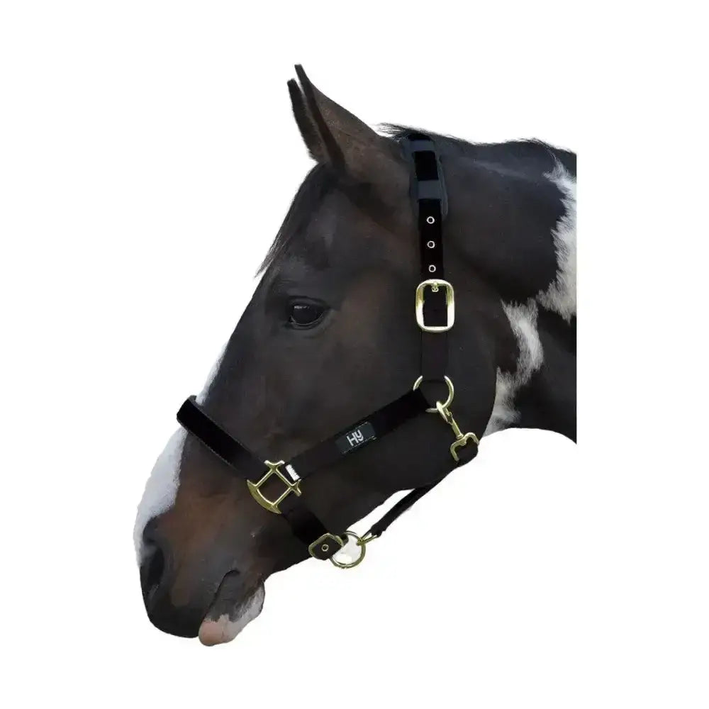 Black leather equestrian deluxe padded head collar with solid brass throat and h&y logo on the strap