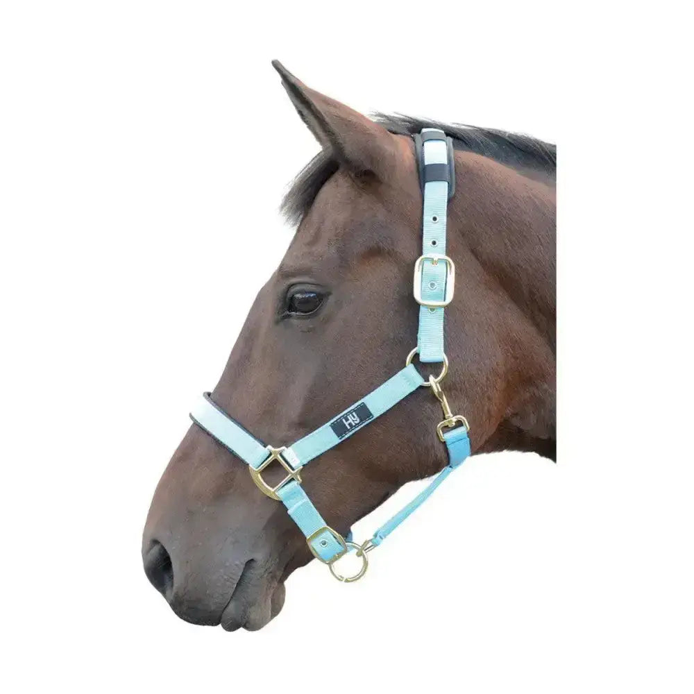 Light blue leather equestrian deluxe padded head collar with solid brass throat and black brand tag