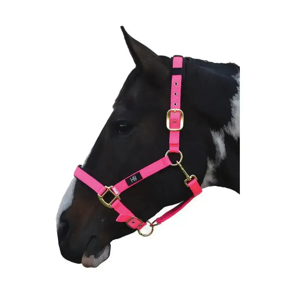 Bright pink hy equestrian deluxe padded head collar with solid brass throat and black brand tag for horses