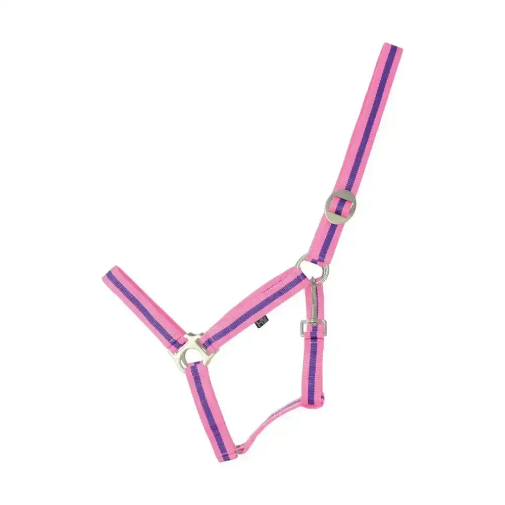 Pink and purple striped nylon duo head collar with silver hardware featuring adjustable webbing head for equestrian use