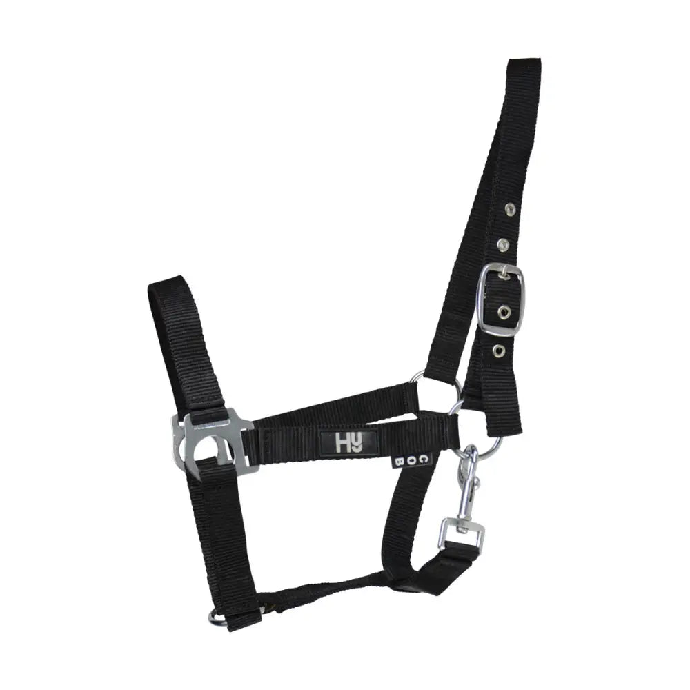Black nylon hy equestrian economy plus head collar with silver hardware reinforced eyelet holes and adjustable throat fastening