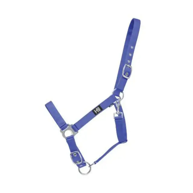 Blue leather hy equestrian economy plus head collar with silver hardware reinforced eyelet holes and adjustable throat fastening