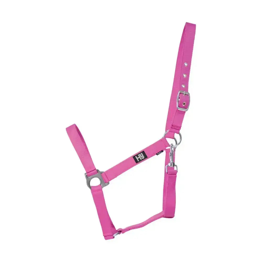 Bright pink Hy Equestrian Economy Plus head collar with silver hardware, reinforced eyelet holes and adjustable throat fastening