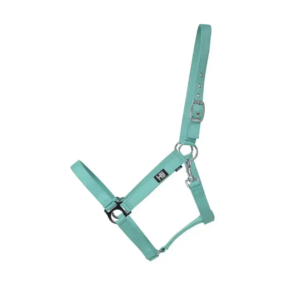 Mint green leather horse halter by hy equestrian featuring reinforced eyelet holes and adjustable throat fastening for increased durability