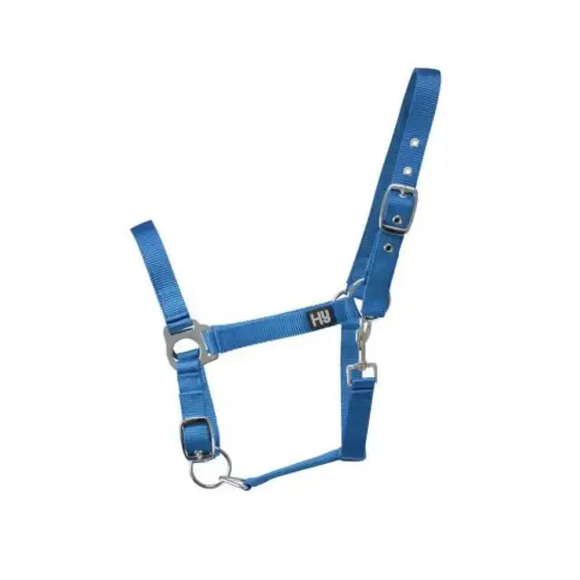Blue nylon horse halter with reinforced eyelet holes and adjustable throat fastening for increased durability by Hy Equestrian