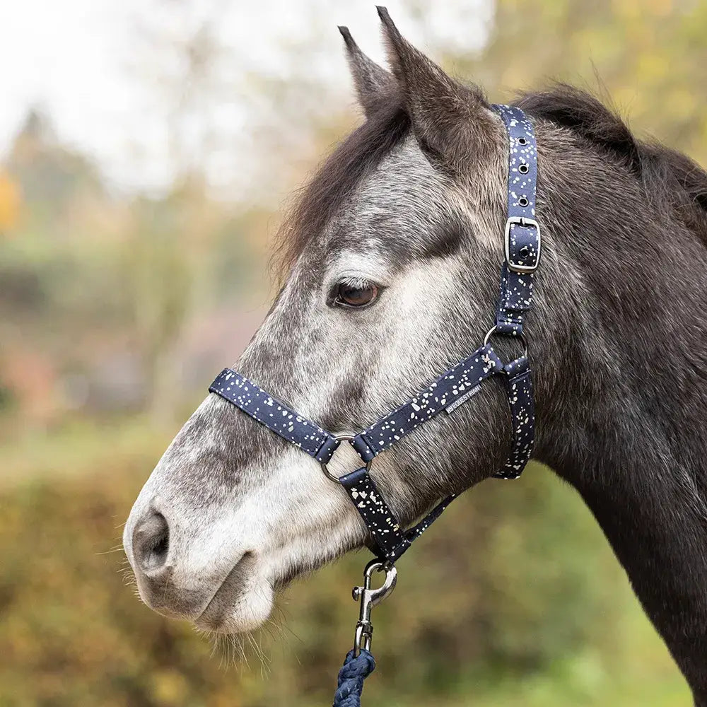 Navy blue leather halter with white speckles and silver hardware in hy equestrian elevate allure head collar and lead rope set