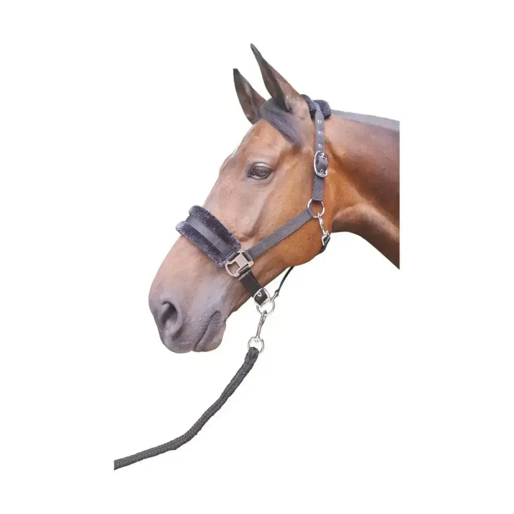 Gray hy equestrian faux fur padded head collar with black leather straps and silver hardware and lead rope