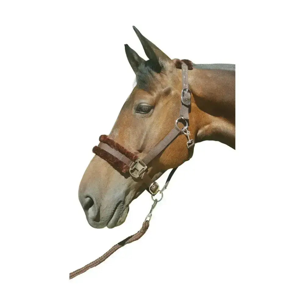 Brown horse head wearing a gray and brown hy equestrian faux fur padded head collar with lead rope and metal buckles
