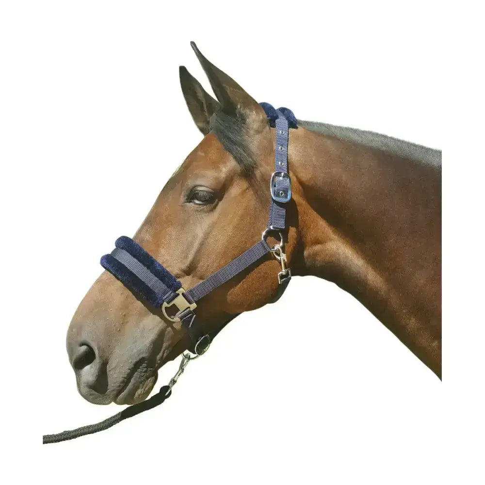 Navy blue hy equestrian faux fur padded head collar with silver hardware and adjustable padded head collar with lead rope