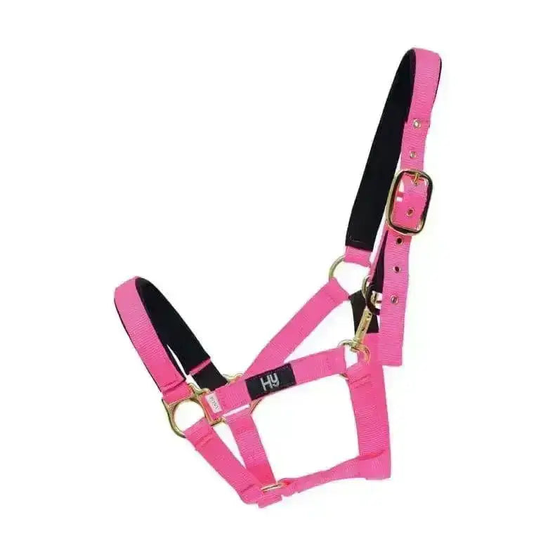 Bright pink hy equestrian fieldsafe head collar with black lining gold hardware nylon web head collar for safe riding