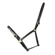 Hy Equestrian Foal Leather Headcollars Black Small Leather Headcollars