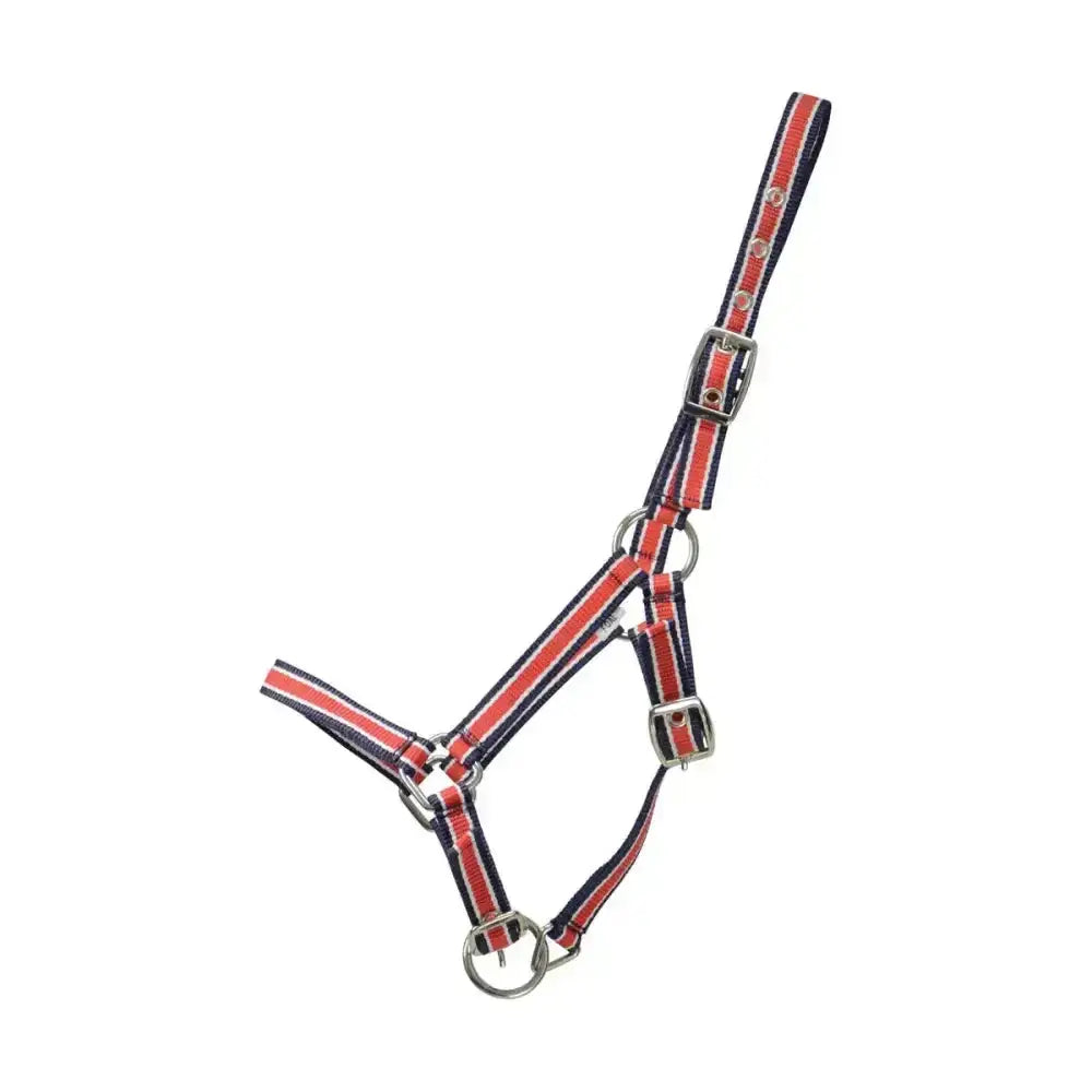 Red and navy striped Hy Equestrian foal plus head collar with three buckle webbing and silver metal rings and buckles