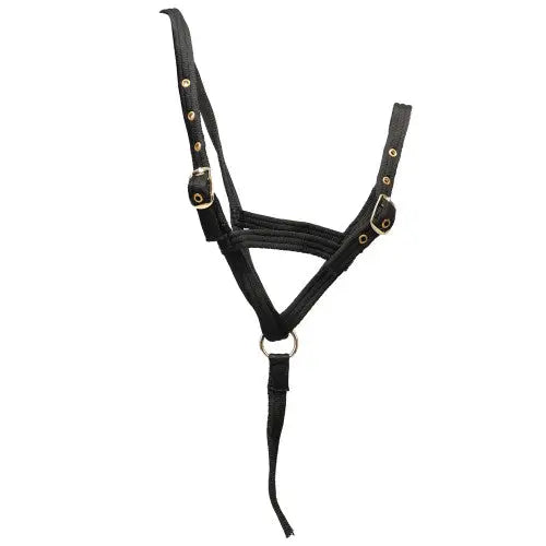 Hy Equestrian Foal Slip Halter Black Headcollars