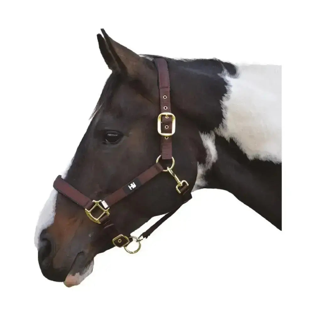 Hy Equestrian Grand Prix Head Collar Chocolate Brown Pony Headcollars